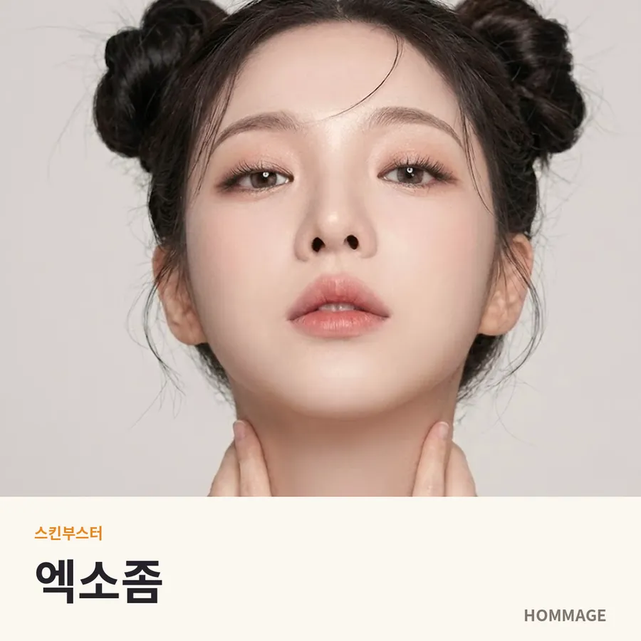 강남역 엑소좀